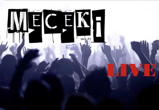 MECEKI, un artiste CANAL BLEU PRODUCTIONS – diffusion et productions de spectacles en Pays de la Loire